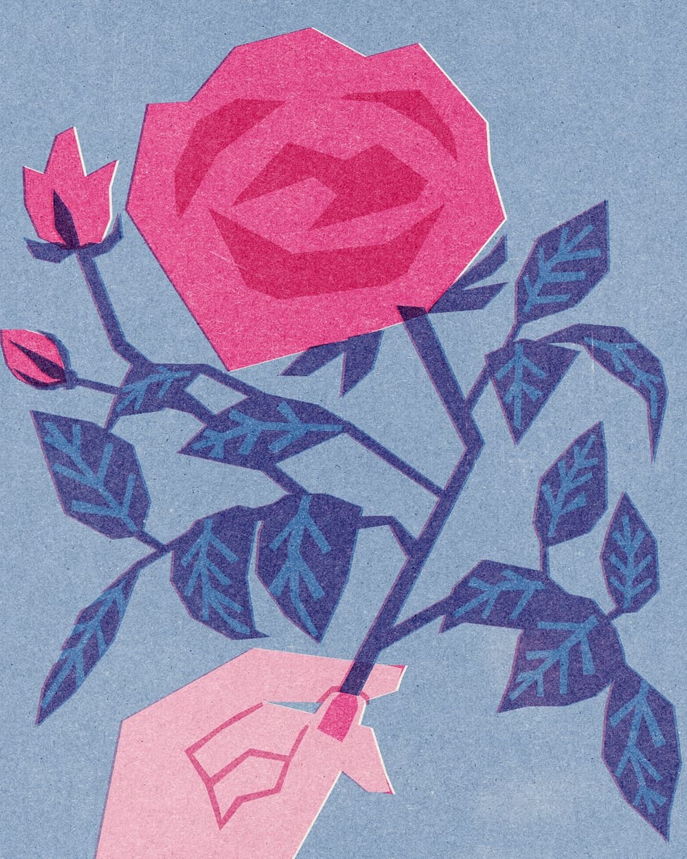 Hand holding a pink rose